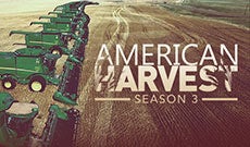 American Harvest Season 3
