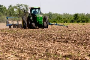 Focus on nitrogen this growing season | AGDAILY