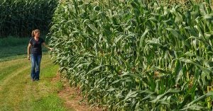The Farm Babe on Monsanto | AGDAILY