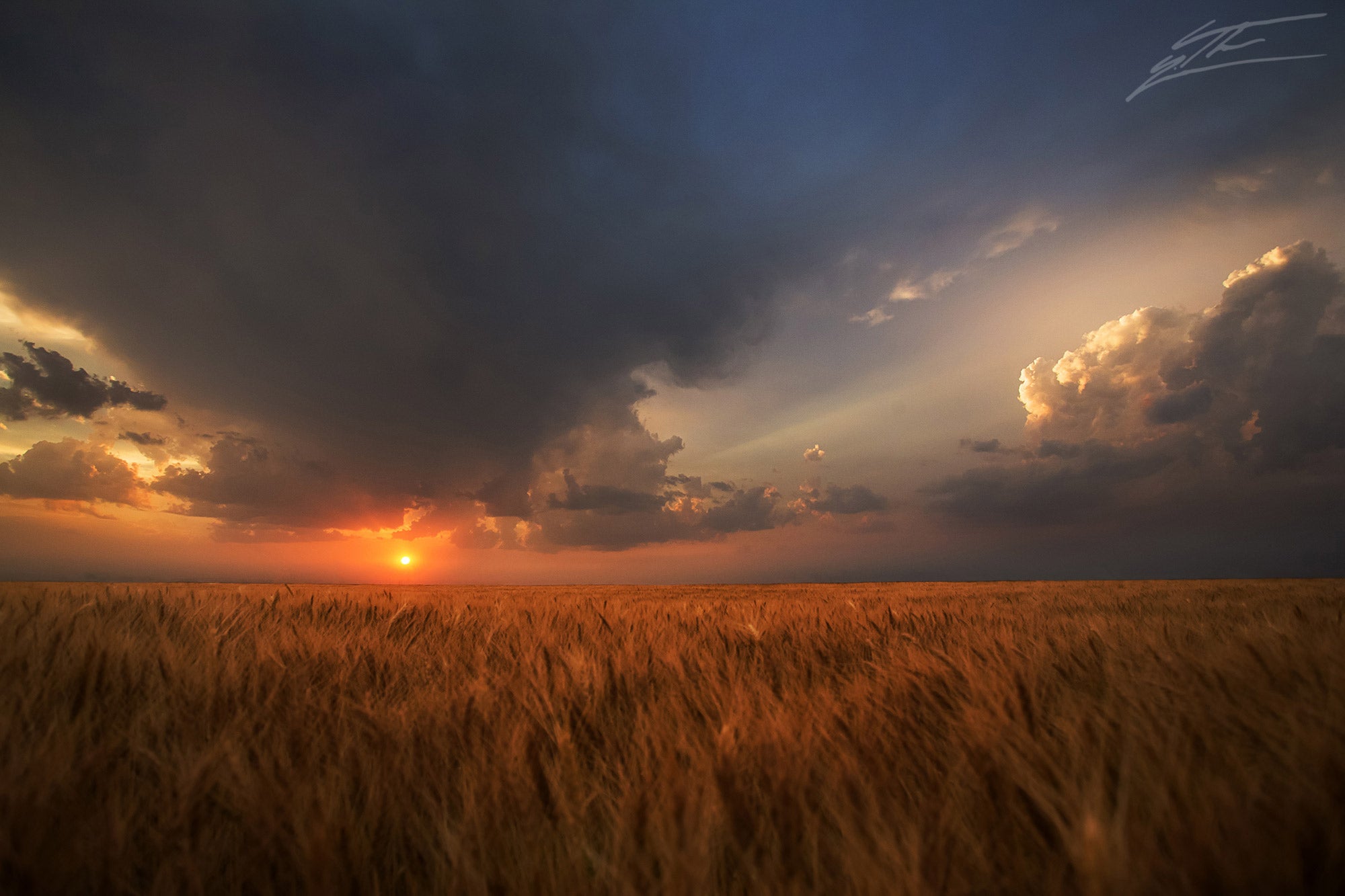 The Farmin Artist captures stunning photos of agricultural Heartland ...