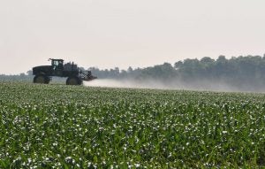 dicamba