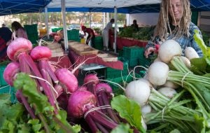 organic farmers market