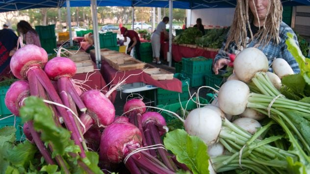 organic farmers market