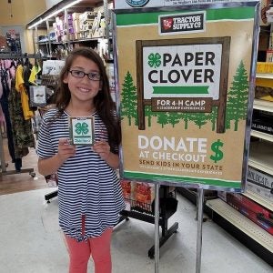 Paper Clover campaign