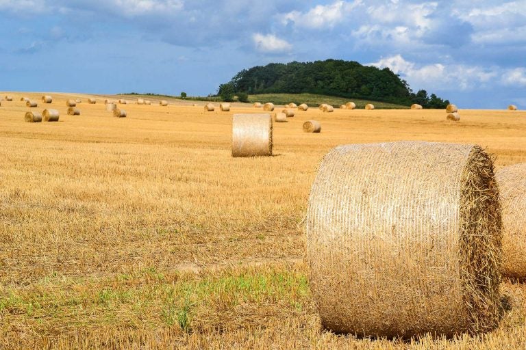 5 things to keep in mind for hay baling season | AGDAILY