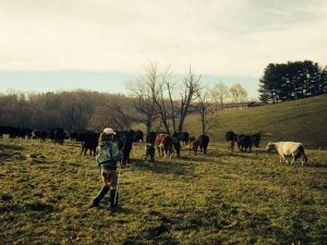 farm childhood