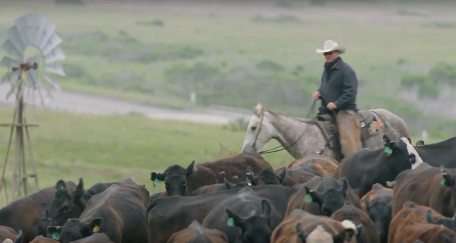 Film 'A Common Ground' delves into rangeland preservation AGDAILY