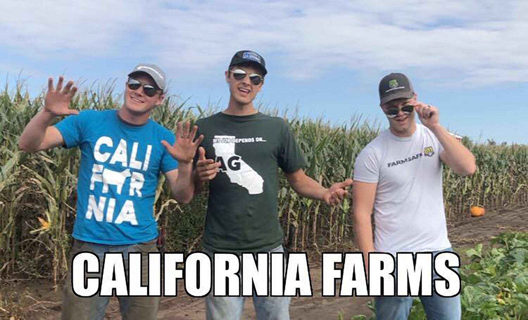 petersons california farm