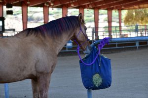 horse hay bag