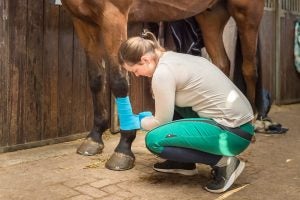 equine first aid