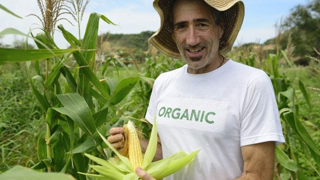 organic corn farmer