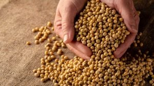 Sustainably Grown U.S. Soy