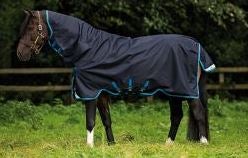 winter horse blankets