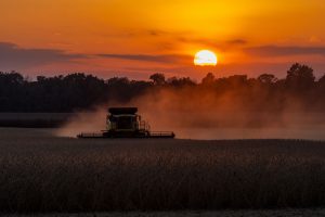 grain prices