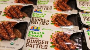 plant-based meat alternatives