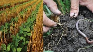 soil health practices