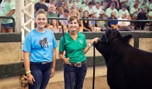 charity steer auction