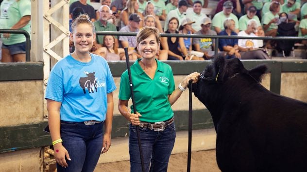 charity steer auction