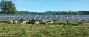 oregon solar farm