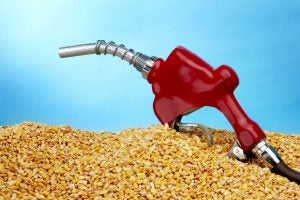 Corn Ethanol Mandate Elimination Act