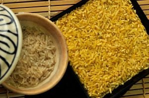 Golden Rice Project