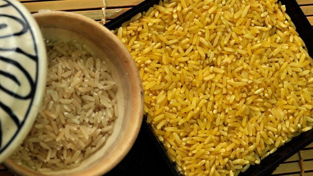 Golden Rice Project