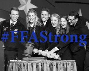 #FFAstrong