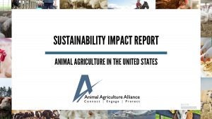 sustainability impact report