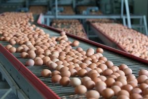 Eggs set to be defined a ‘healthy food’ by the FDA