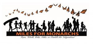 miles for monarchs