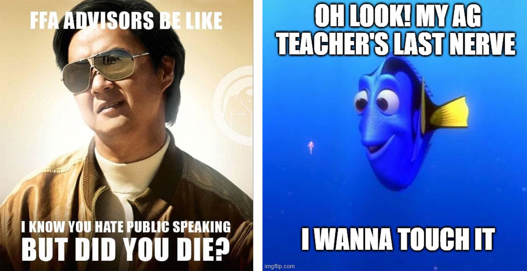 10 Of The Best Ffa Memes Jokes On The Internet Agdaily