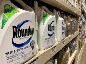 roundup glyphosate