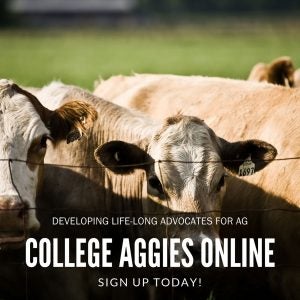 College Aggies Online scholarship