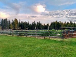 alaska agriculture