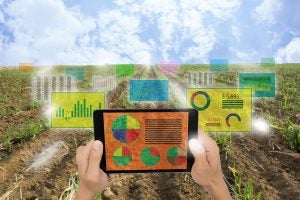 agriculture internet of things