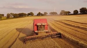 english_barley_harvest