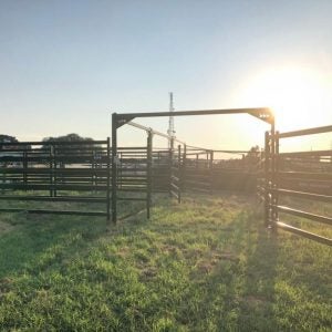 arrowquip-low-stress-cattle-handling