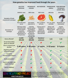 food-genetics graphic