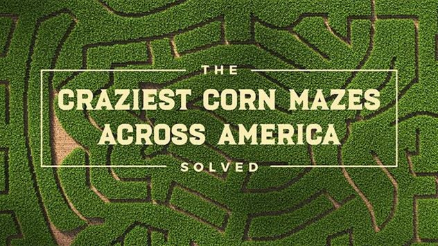 craziest corn mazes