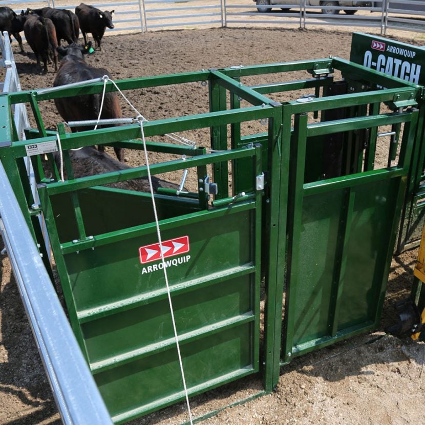 Not all cattle chutes are made equal: Here's what to look for | AGDAILY
