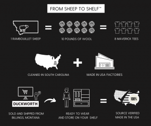 duckworth infographic