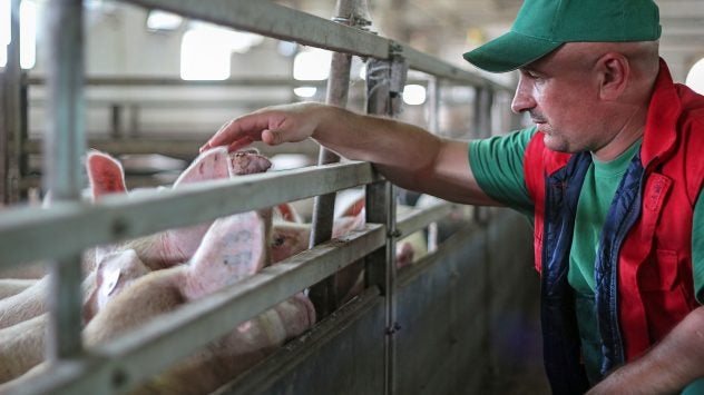pork-producer-pig-farmer