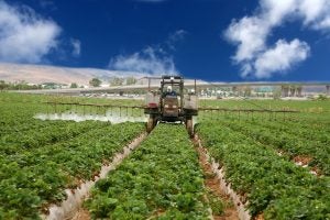 california-strawberry-pesticide