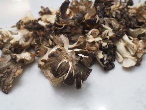 maitake-mushroom-adapogens