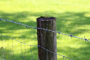 best-cattle-fence