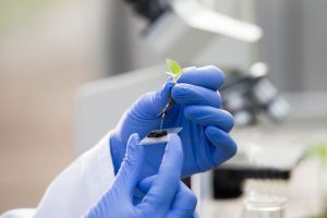 plant-scientist-laboratory
