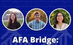 afa-bridge-diversity