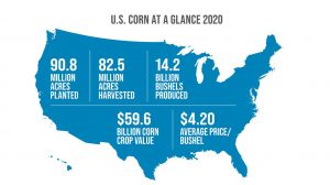World of Corn
