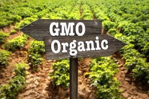 gmo-organic