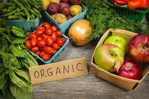 organic-farmers-market-produce